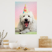 Goldendoele met Pet Poster (Keuken)
