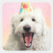 Goldendoele met Pet Vierkante Sticker (Voorkant)