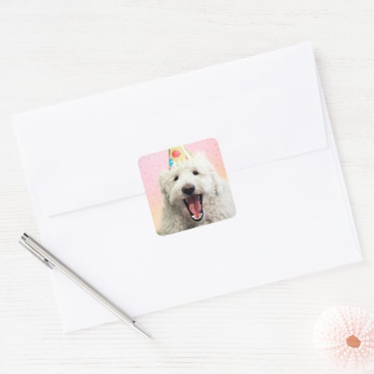 Goldendoele met Pet Vierkante Sticker (Envelop)