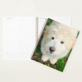 Goldendoele Puppy die naar camera kijkt Planner (Display)