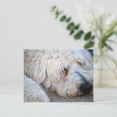 Goldendole achtergrond briefkaart (Staand voorkant)