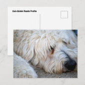 Goldendole achtergrond briefkaart (Voorkant / Achterkant)