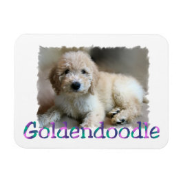 Goldendole Art Magneet