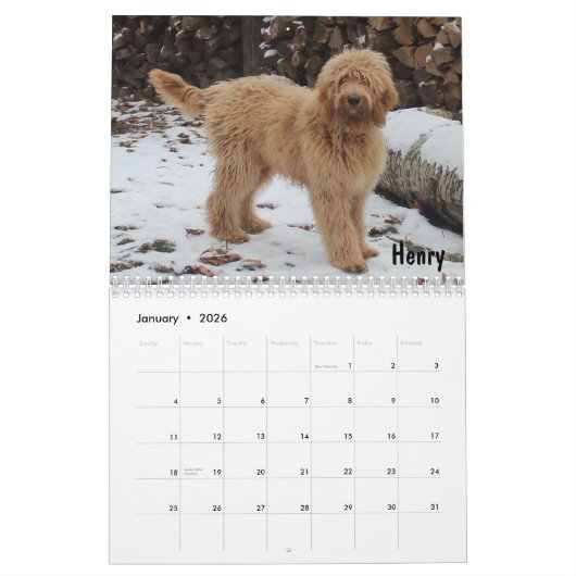 Goldendole Calendar Kalender (Jan 2026)