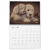 Goldendole Calendar Kalender (Mar 2027)