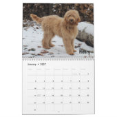 Goldendole Calendar Kalender (Jan 2027)