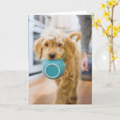 Goldendole Carrying Dinner Bowl Kaart (Gele Bloem)