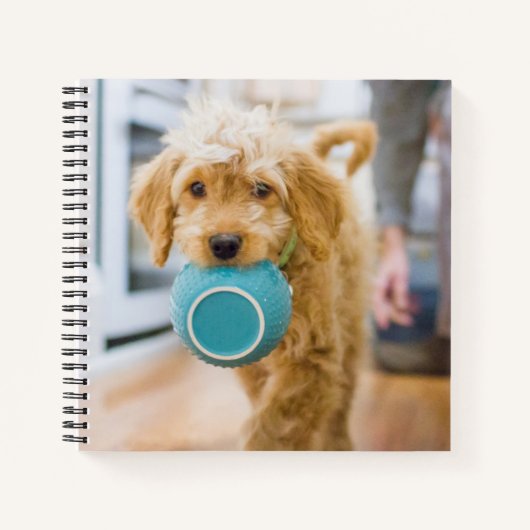 Goldendole Carrying Dinner Bowl Notitieboek (Voorkant)