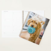 Goldendole Carrying Dinner Bowl Planner (Display)
