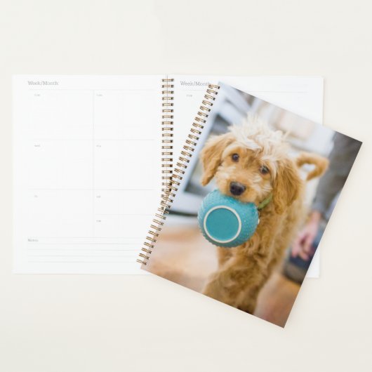 Goldendole Carrying Dinner Bowl Planner (Display)