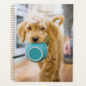 Goldendole Carrying Dinner Bowl Planner (Voorkant)