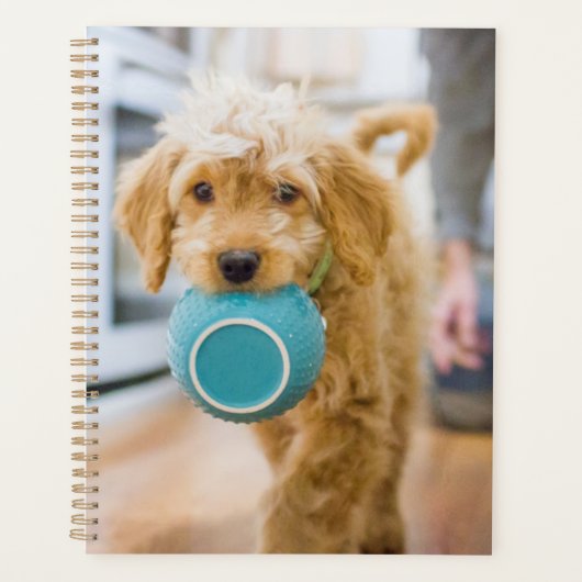 Goldendole Carrying Dinner Bowl Planner (Voorkant)