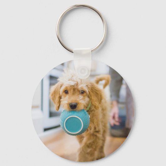 Goldendole Carrying Dinner Bowl Sleutelhanger (Voorkant)
