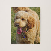 Goldendole Dog Legpuzzel (Verticaal)