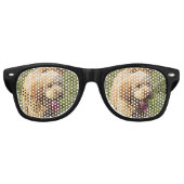 Goldendole Dog Retro Zonnebril (Voorkant)