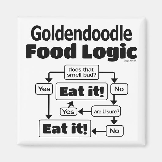 Goldendole Food Logic Magneet (Voorkant)
