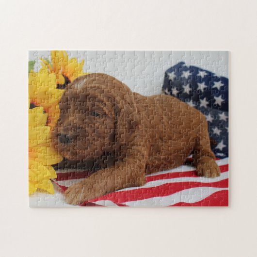 Goldendole Jigzaag Puzzle Legpuzzel (Horizontaal)