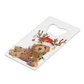 Goldendole kerstpas render kerstmis creditkaart flessenopener (Achterkant Gekanteld)