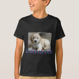 Goldendole Lovers Gifts T-shirt