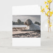 goldendole op strand kaart (Gele Bloem)