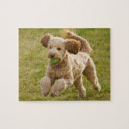 Goldendole Plays Fetch Legpuzzel