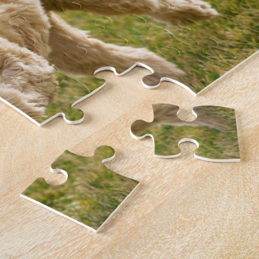 Goldendole Plays Fetch Legpuzzel (Zijkant)