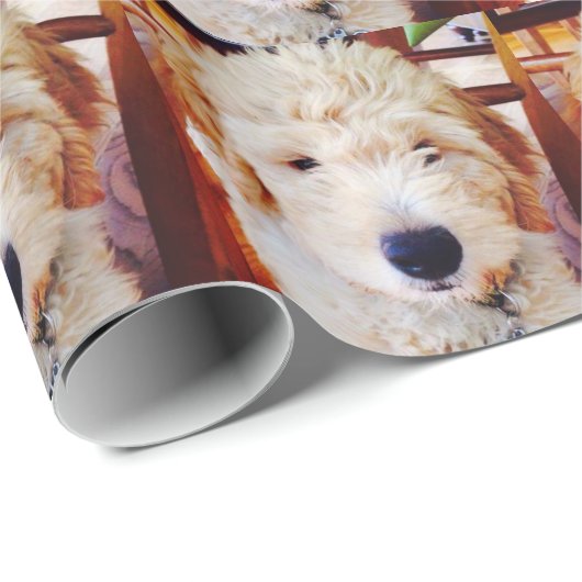 Goldendole Puppy Cadeaupapier (Rol Hoek)