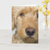 Goldendole Puppy Closeup Kaart (Gele Bloem)