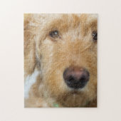 Goldendole Puppy Closeup Legpuzzel (Verticaal)