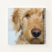 Goldendole Puppy Closeup Notitieboek (Achterkant)
