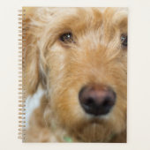 Goldendole Puppy Closeup Planner (Voorkant)