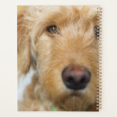 Goldendole Puppy Closeup Planner (Achterkant)