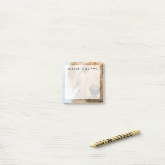 Goldendole Puppy Closeup Post-it® Notes (Op bureau)