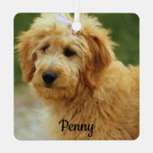 Goldendole Puppy Dog Metalen Ornament (Achterkant)