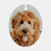 Goldendole Puppy Dog Metalen Ornament (Achterkant)