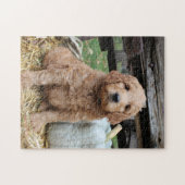 Goldendole Puppy Jigzaag Puzzle Legpuzzel (Horizontaal)