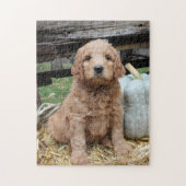Goldendole Puppy Jigzaag Puzzle Legpuzzel (Verticaal)
