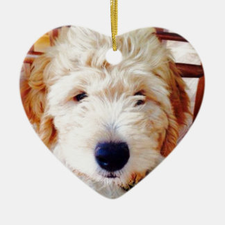 Goldendole Puppy Keramisch Ornament