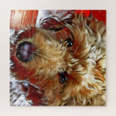 Goldendole Puppy Legpuzzel (Horizontaal)