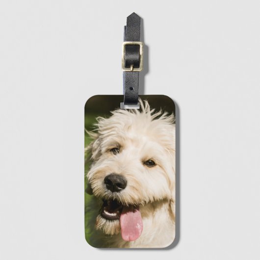 Goldendole Puppy Panting Bagagelabel (Voorkant (verticaal))