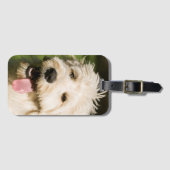 Goldendole Puppy Panting Bagagelabel (Voorkant (horizontaal))