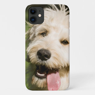 Goldendole Puppy Panting Case-Mate iPhone Case
