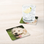 Goldendole Puppy Panting Kartonnen Onderzetters (Insitu)