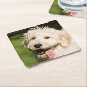 Goldendole Puppy Panting Kartonnen Onderzetters (Schuin)