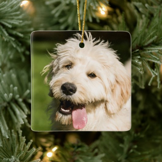 Goldendole Puppy Panting Keramisch Ornament (Boom)