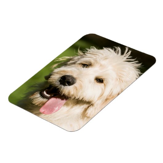Goldendole Puppy Panting Magneet (Linkerzijde)