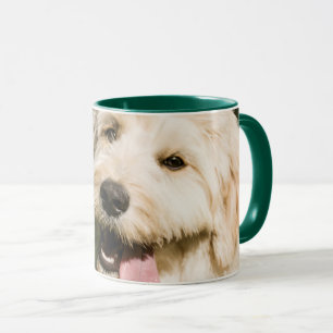 Goldendole Puppy Panting Mok
