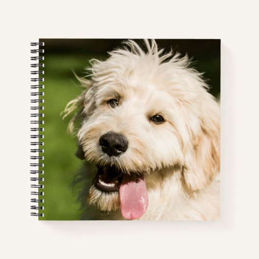 Goldendole Puppy Panting Notitieboek (Voorkant)