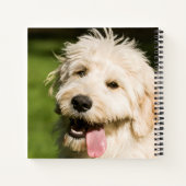 Goldendole Puppy Panting Notitieboek (Achterkant)