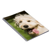 Goldendole Puppy Panting Notitieboek (Rechterzijde)